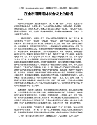 在全市河湖湾林长会议上的讲话