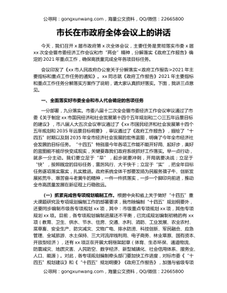 市长在市政府全体会议上的讲话