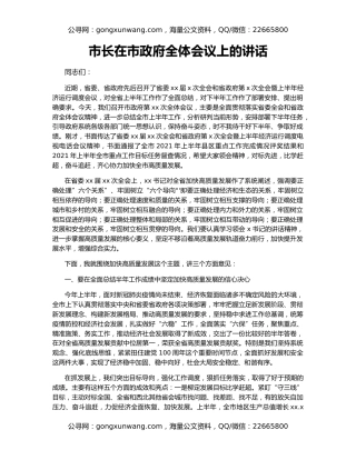 市长在市政府全体会议上的讲话（2）