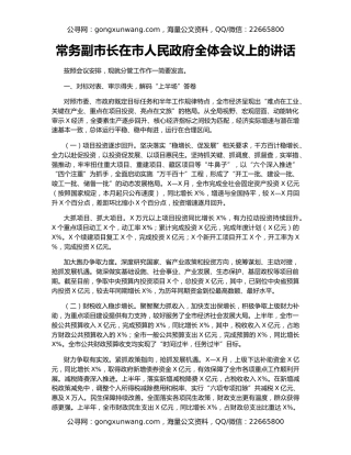 常务副市长在市人民政府全体会议上的讲话