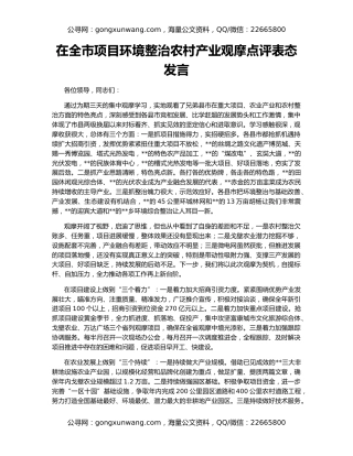 在全市项目环境整治农村产业观摩点评表态发言