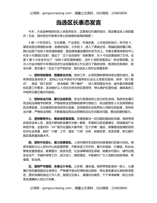 当选区长表态发言