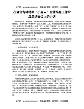 在全省专精特新“小巨人”企业培育工作阶段总结会议上的讲话