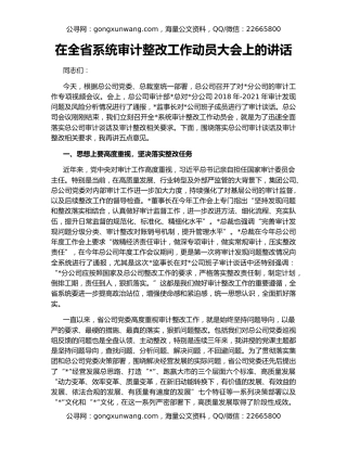 在全省系统审计整改工作动员大会上的讲话
