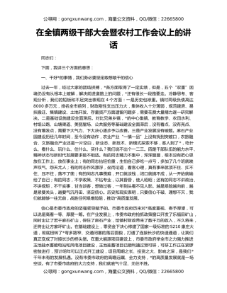 在全镇两级干部大会暨农村工作会议上的讲话