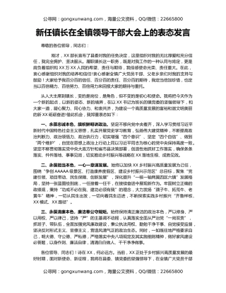 新任镇长在全镇领导干部大会上的表态发言