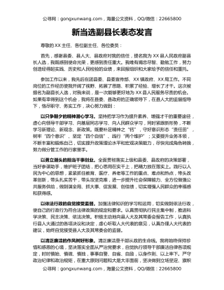 新当选副县长表态发言