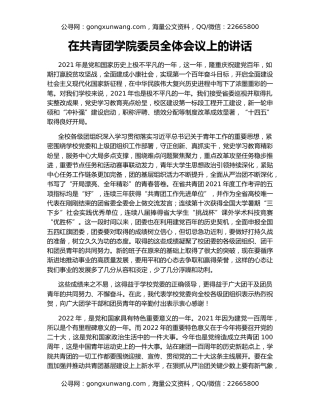 在共青团学院委员全体会议上的讲话