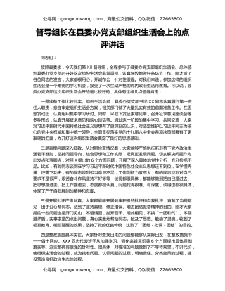 督导组长在县委办党支部组织生活会上的点评讲话