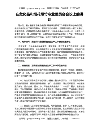 在危化品和烟花爆竹专业委员会会议上的讲话