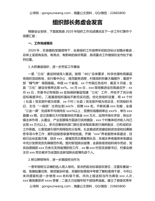 组织部长务虚会发言