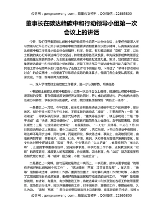 董事长在碳达峰碳中和行动领导小组第一次会议上的讲话