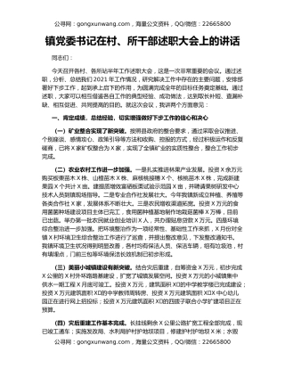 镇党委书记在村、所干部述职大会上的讲话