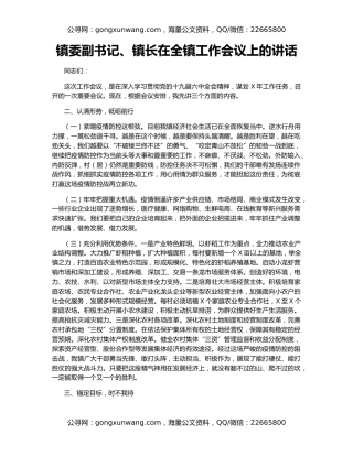 镇委副书记、镇长在全镇工作会议上的讲话