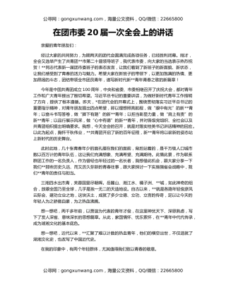 在团市委20届一次全会上的讲话