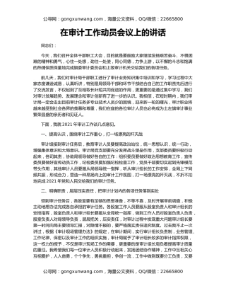 在审计工作动员会议上的讲话