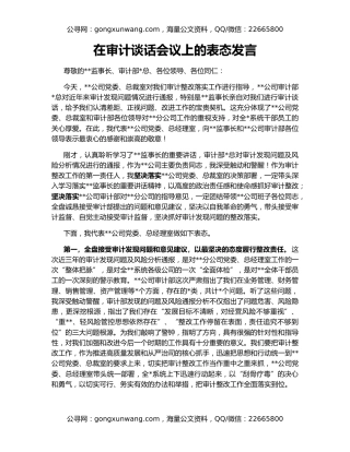 在审计谈话会议上的表态发言