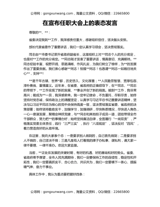 在宣布任职大会上的表态发言