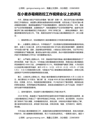 在小麦赤霉病防控工作视频会议上的讲话