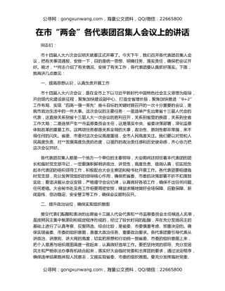 在市“两会”各代表团召集人会议上的讲话