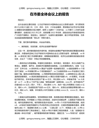 在市委全体会议上的报告
