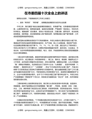 在市委四届十次全会上的讲话