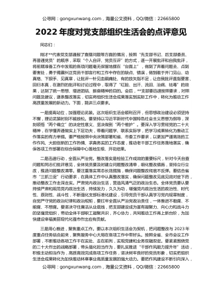 2022年度对党支部组织生活会的点评意见