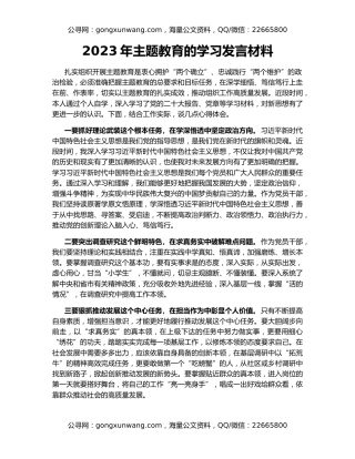 2023年主题教育的学习发言材料