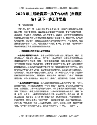 2023年主题教育第一批工作总结（自查报告）及下一步工作思路