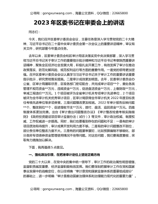 2023年区委书记在审委会上的讲话