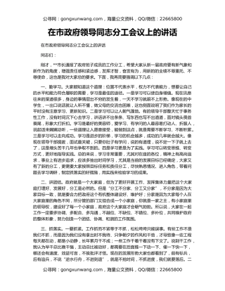 在市政府领导同志分工会议上的讲话