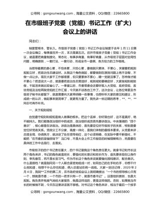 在市级班子党委（党组）书记工作（扩大）会议上的讲话