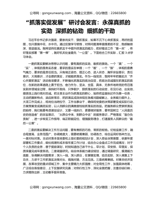 “抓落实促发展”研讨会发言：永葆真抓的实劲  深抓的钻劲  细抓的干劲