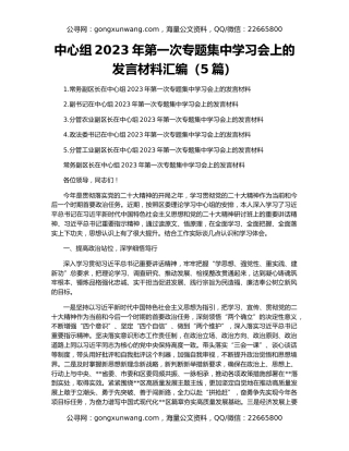 中心组2023年第一次专题集中学习会上的发言材料汇编（5篇）
