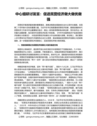 中心组研讨发言：促进民营经济做大做优做强
