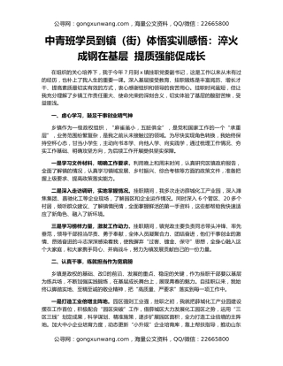 中青班学员到镇（街）体悟实训感悟：淬火成钢在基层  提质强能促成长