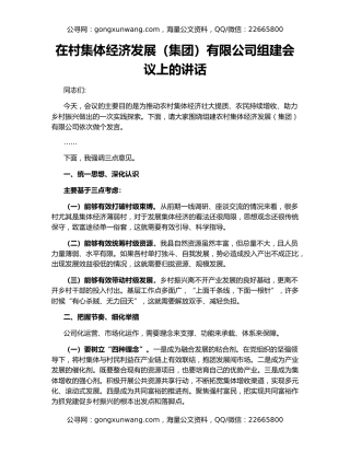 在村集体经济发展（集团）有限公司组建会议上的讲话