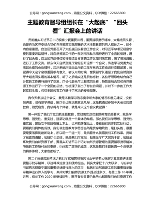 主题教育督导组组长在“大起底”“回头看”汇报会上的讲话