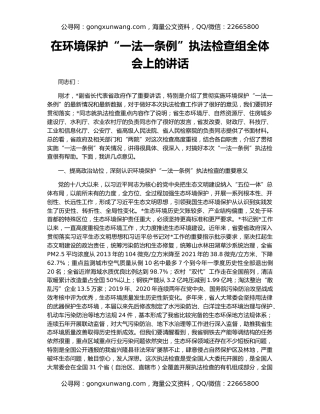 在环境保护“一法一条例”执法检查组全体会上的讲话