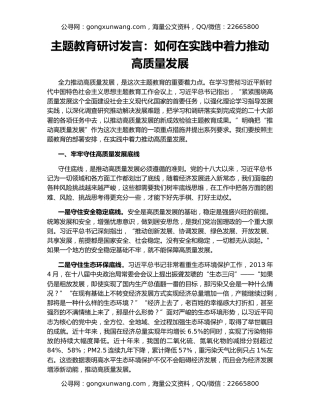 主题教育研讨发言：如何在实践中着力推动高质量发展