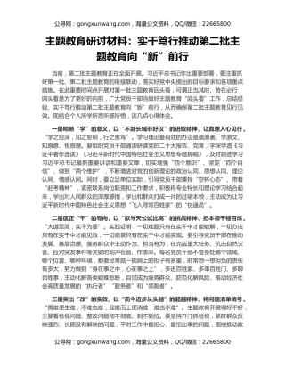 主题教育研讨材料：实干笃行推动第二批主题教育向“新”前行