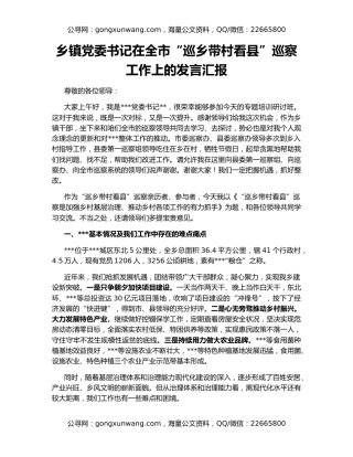 乡镇党委书记在全市“巡乡带村看县”巡察工作上的发言汇报