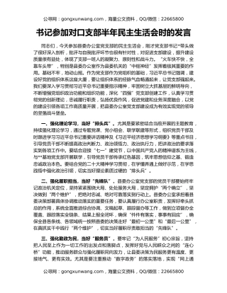 书记参加对口支部半年民主生活会时的发言