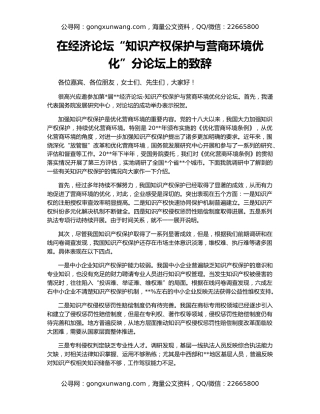 在经济论坛“知识产权保护与营商环境优化”分论坛上的致辞