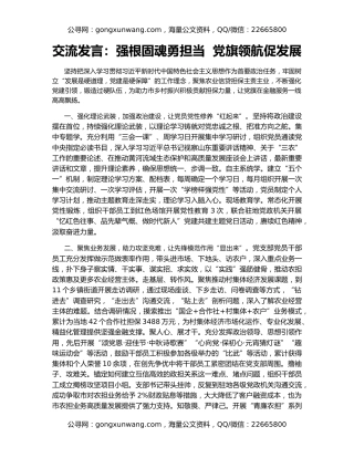 交流发言：强根固魂勇担当  党旗领航促发展