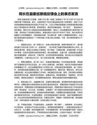 局长在县委巡察组反馈会上的表态发言