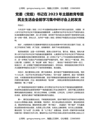 党委（党组）书记在2023年主题教育专题民主生活会会前学习集中研讨会上的发言