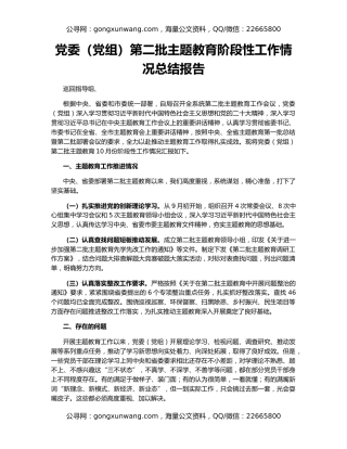 党委（党组）第二批主题教育阶段性工作情况总结报告