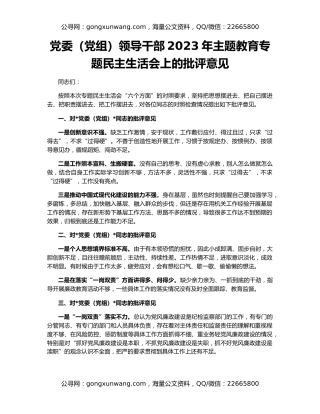 党委（党组）领导干部2023年主题教育专题民主生活会上的批评意见