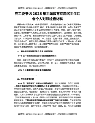 党工委书记2023年主题教育专题民主生活会个人对照检查材料